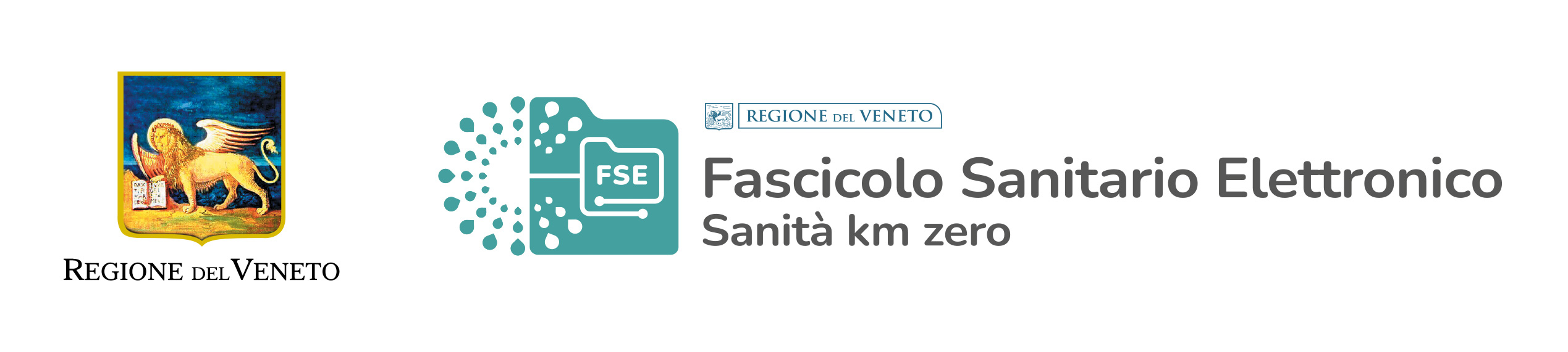 logo regione veneto FSE