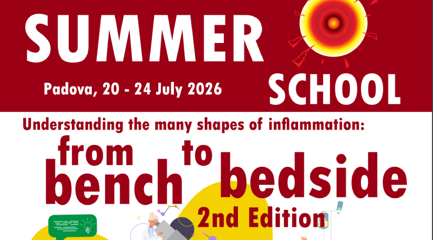 evento - summer school - standard